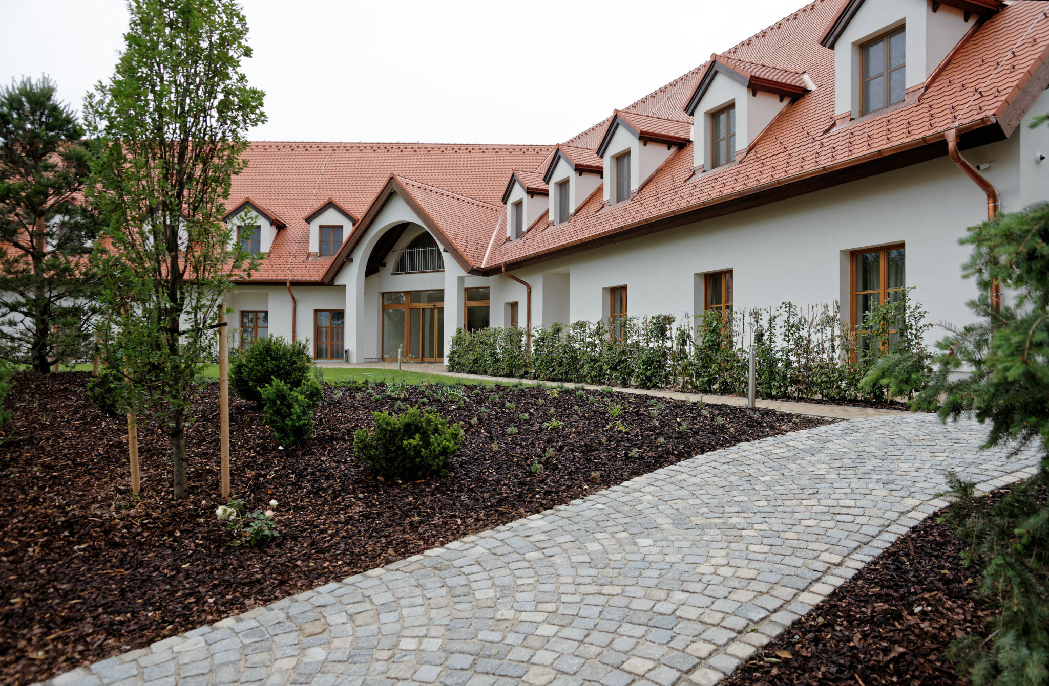 Blog Image 2